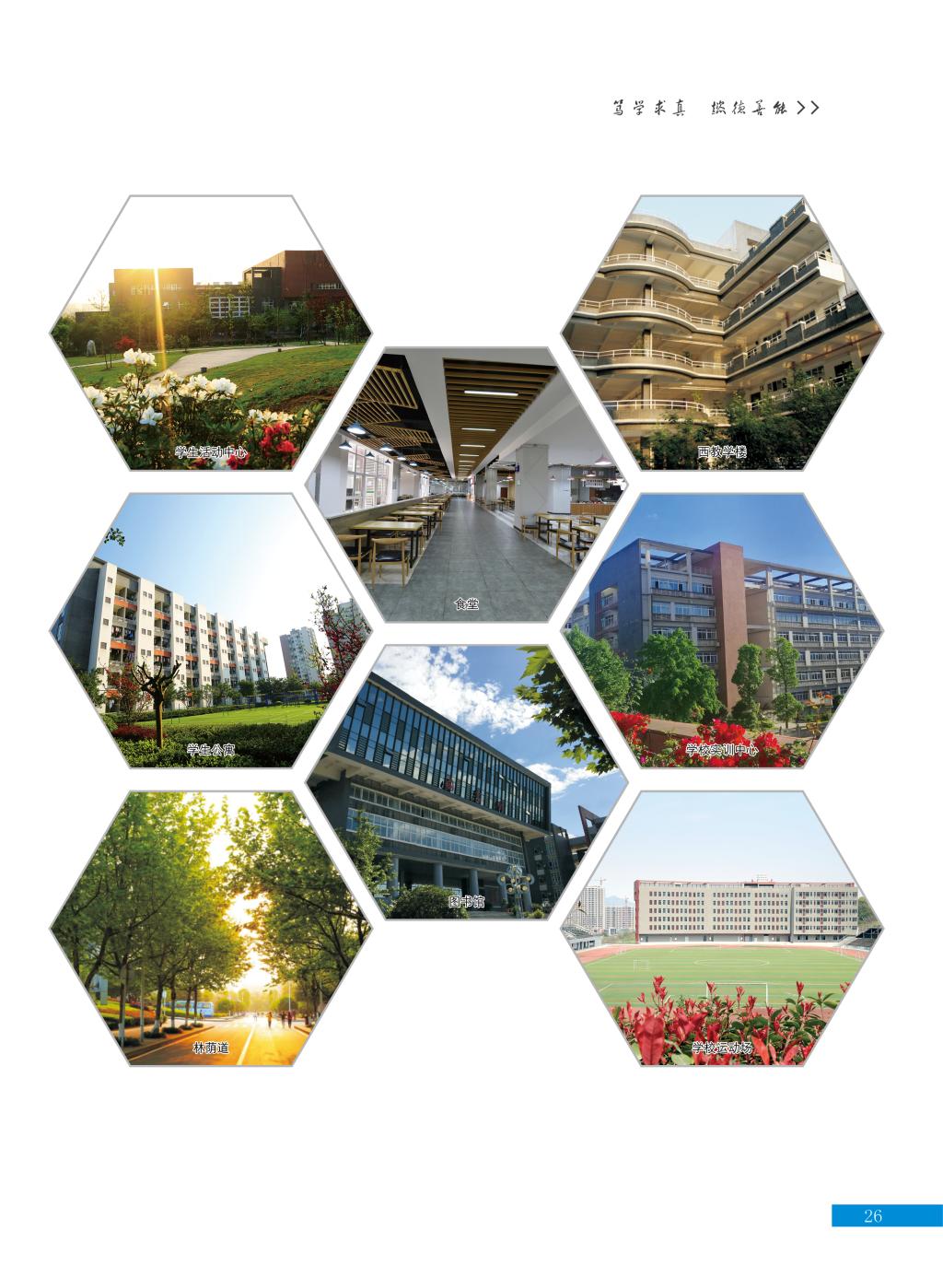 2023年重庆医药高等专科学校高职分类考试招生简章27.jpg
